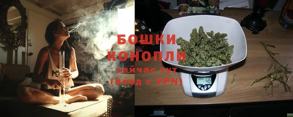 PSILOCYBIN Нягань