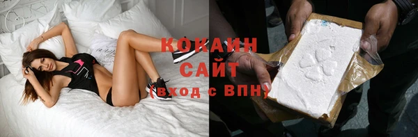 соль ск Алексин