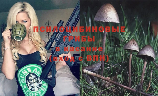 молекула духа Алексеевка