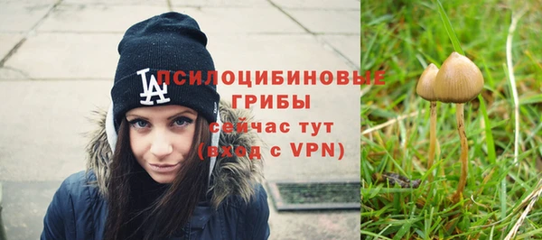 соль ск Алексин