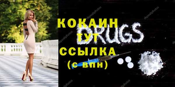 соль ск Алексин