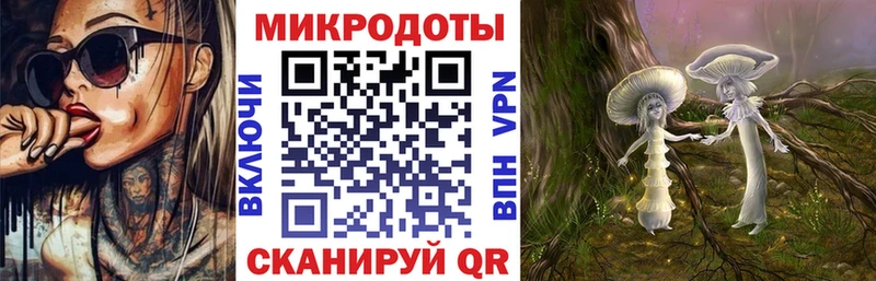 купить наркотик  Дрезна  Галлюциногенные грибы Psilocybe 